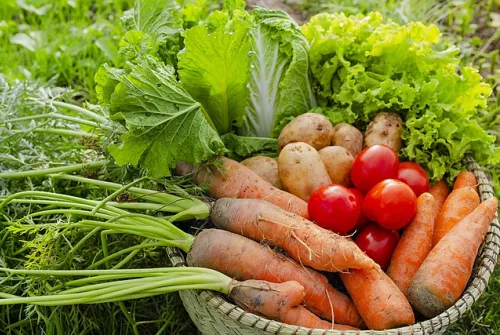 Panier de Légumes de Saison