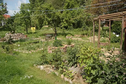 ppermaculture_garden.JPG