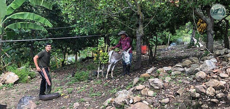 farm_life-32640132878.